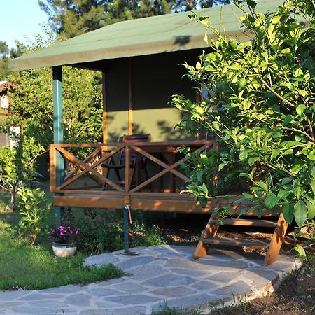 Hotel Hobbit Evi Çıralı Zimmer foto