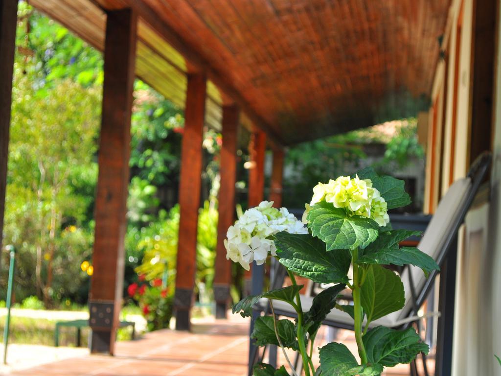 Hotel Hobbit Evi Çıralı Exterior foto