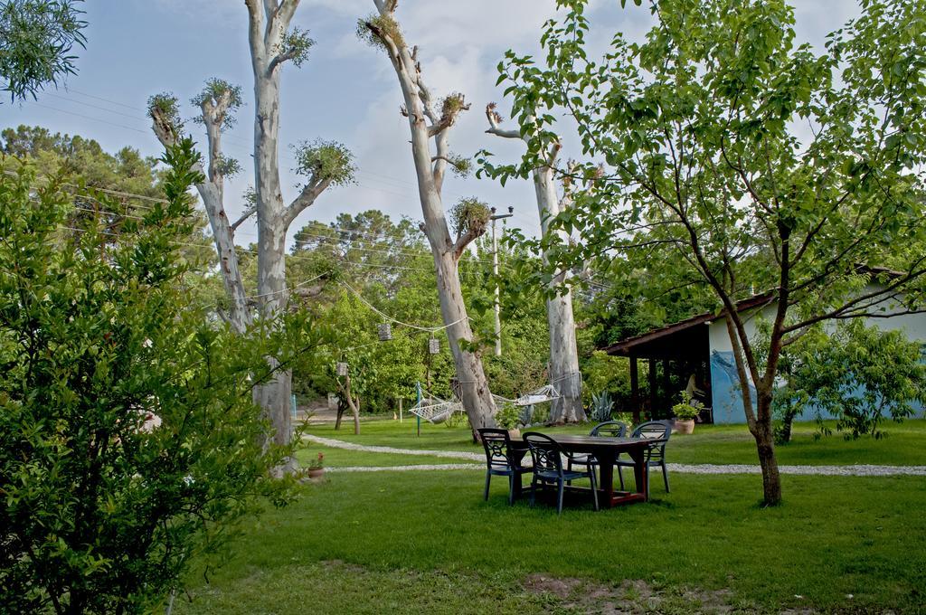 Hotel Hobbit Evi Çıralı Exterior foto